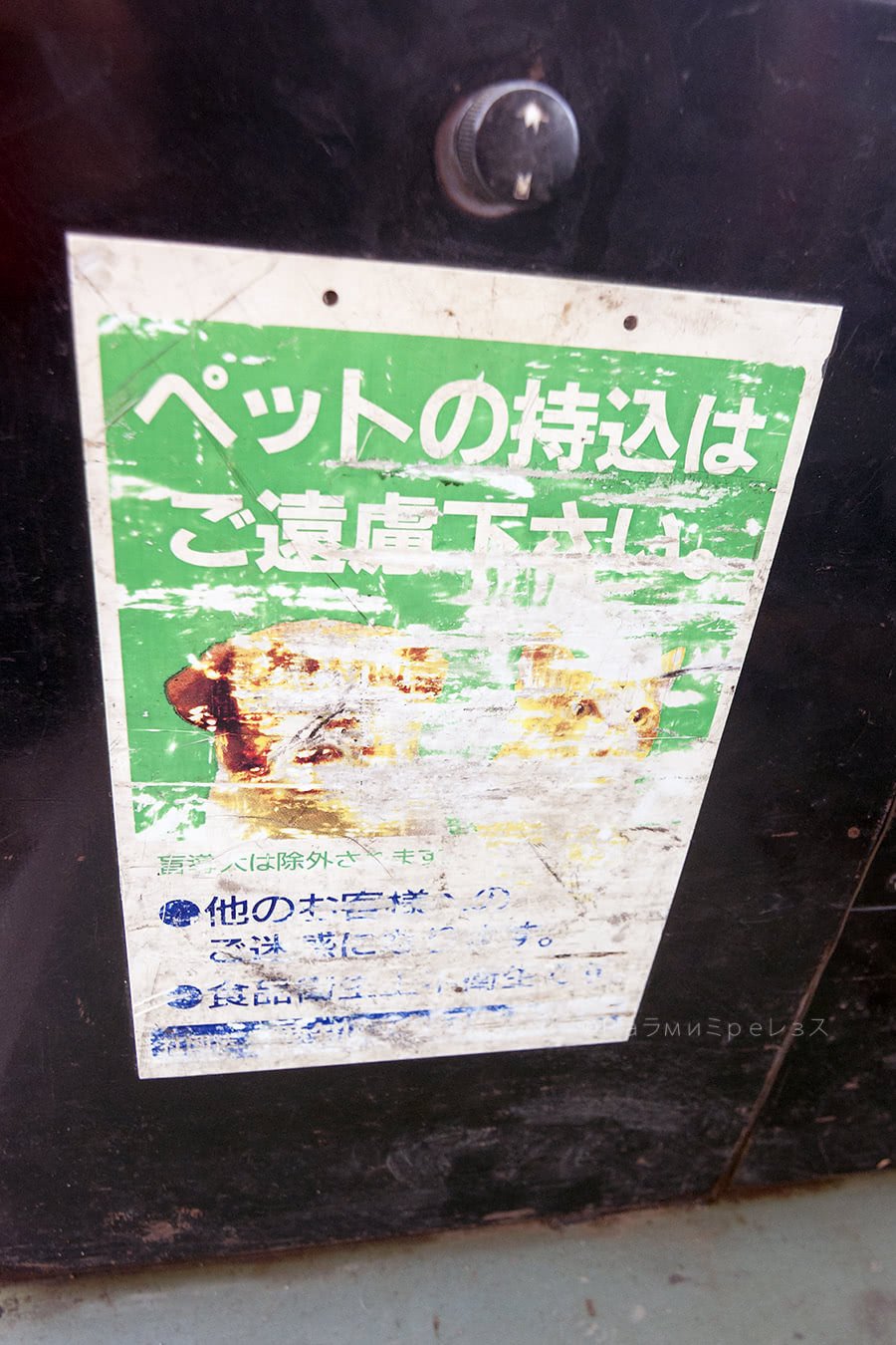 No cookies for whoever guesses where this bus comes from.