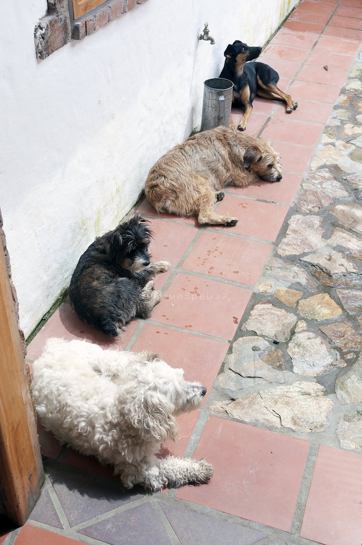 Clarita y amiguitos.  De esa foto solo queda una viva.