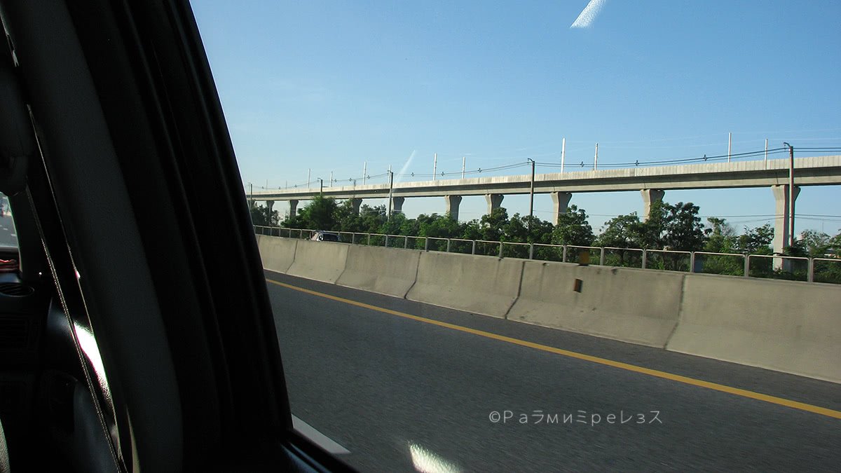 IMG_8310.jpg