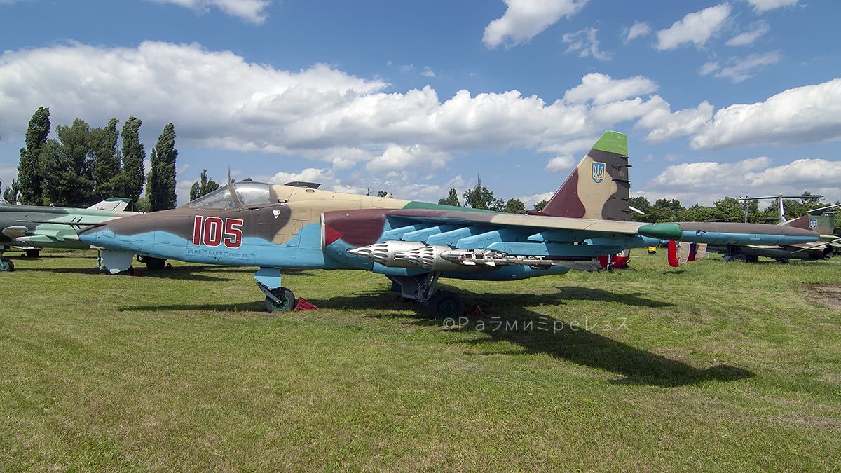 DSC_6868.jpg