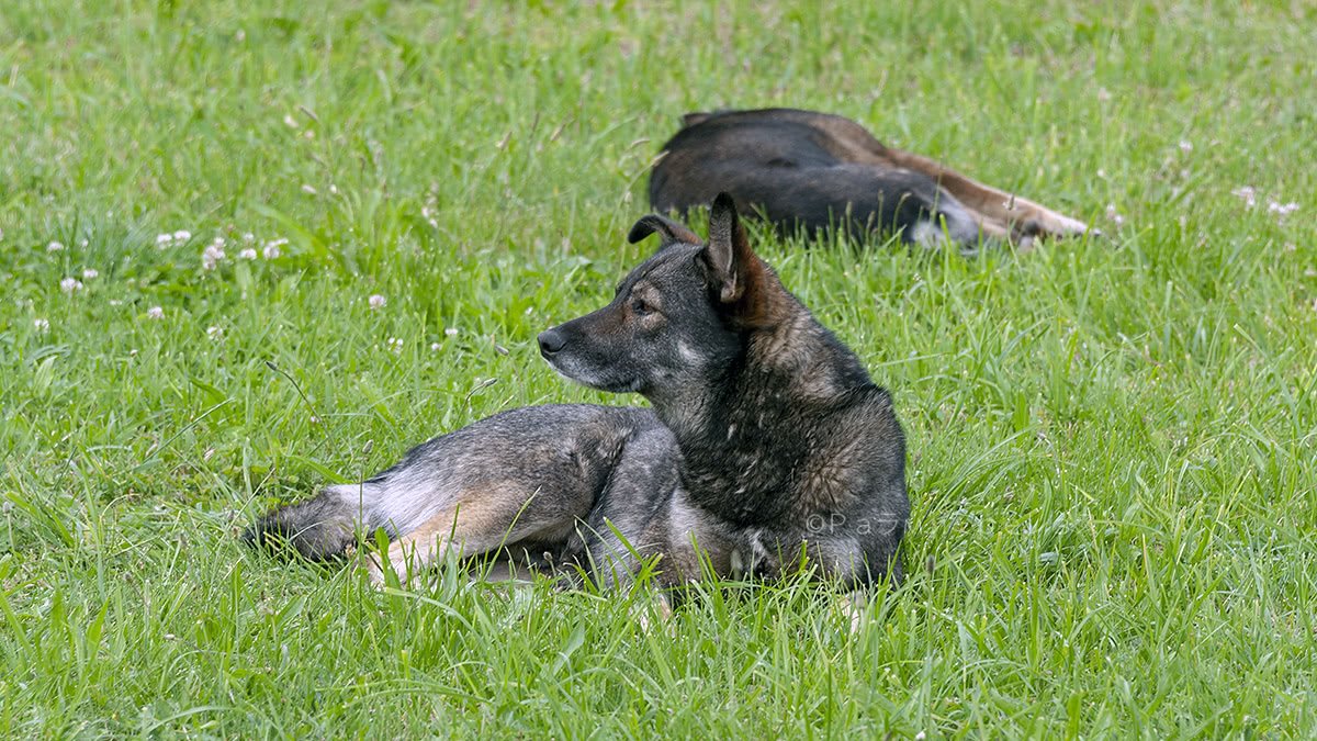 DSC_7222.jpg