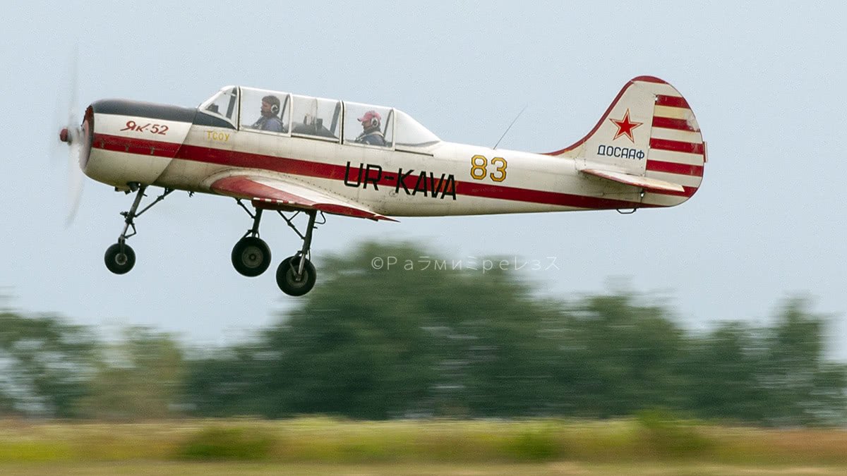 DSC_7277.jpg