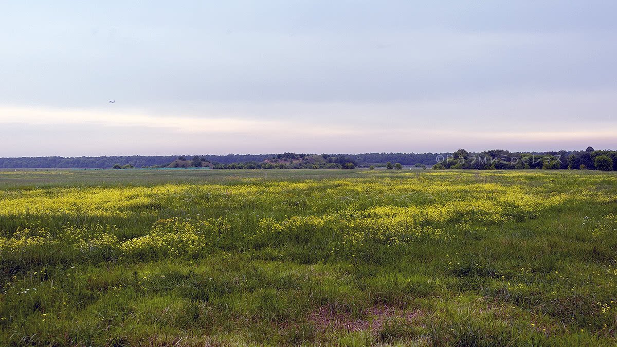 DSC_7992.jpg