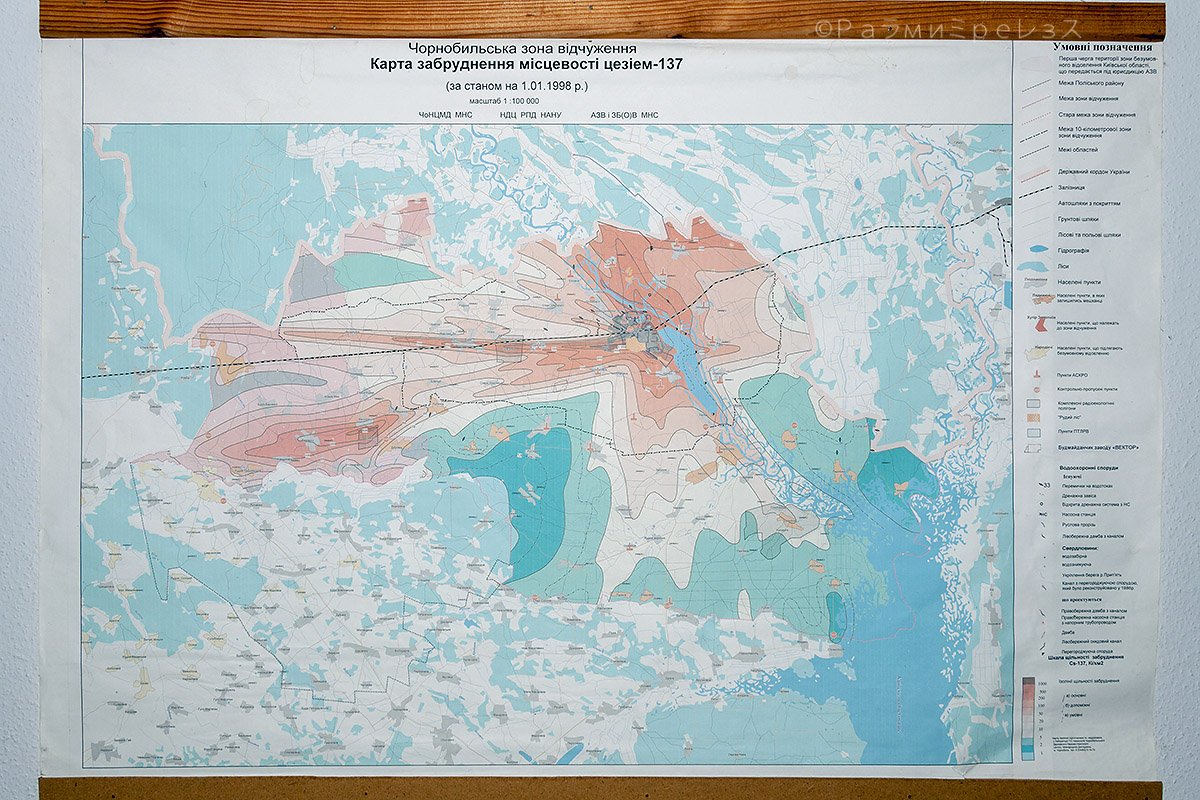 DSC_7369.jpg