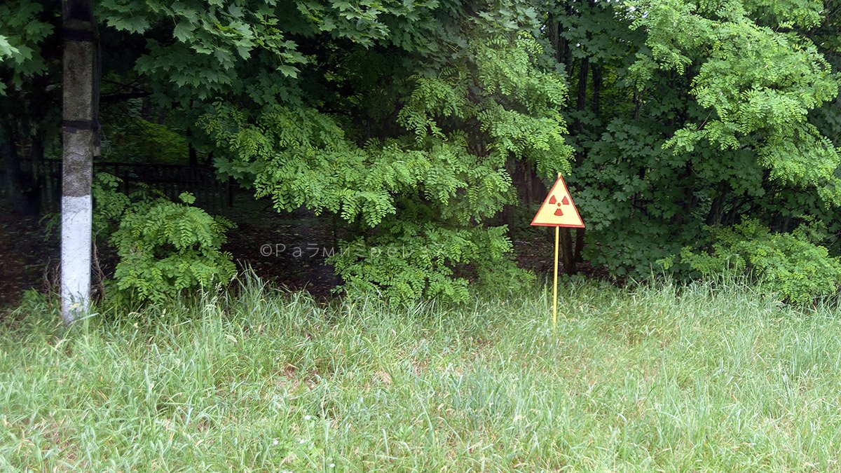 DSC_7389.jpg