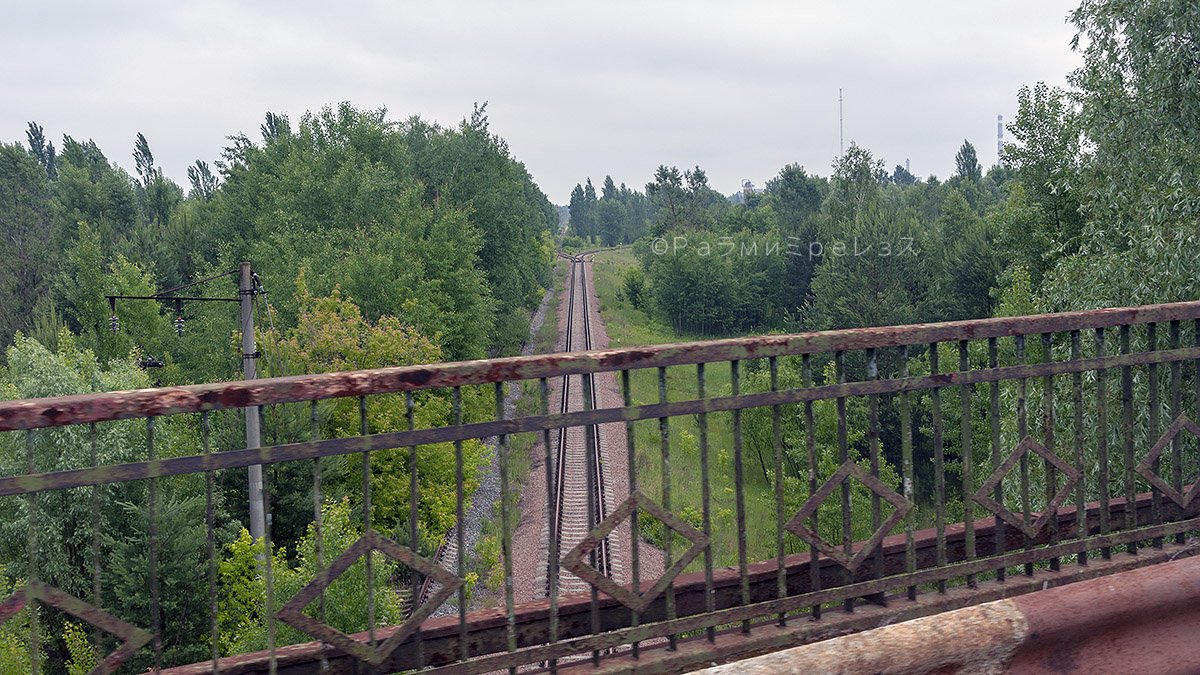 DSC_7436.jpg