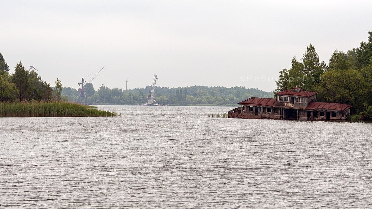 DSC_7457.jpg