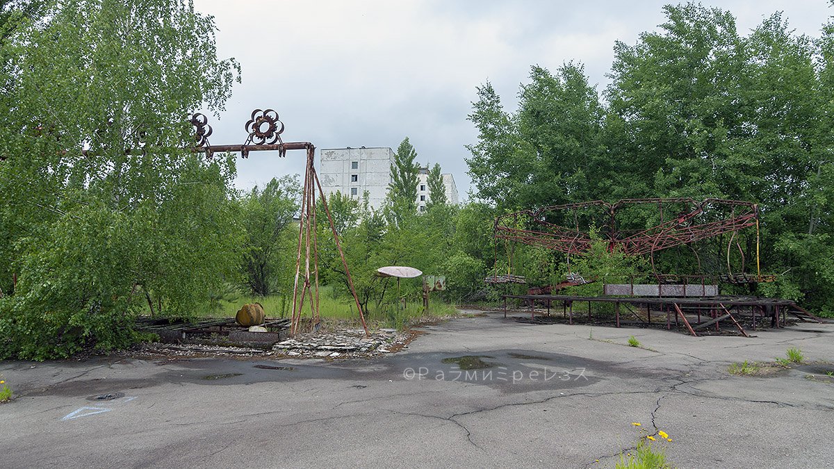 DSC_7526.jpg