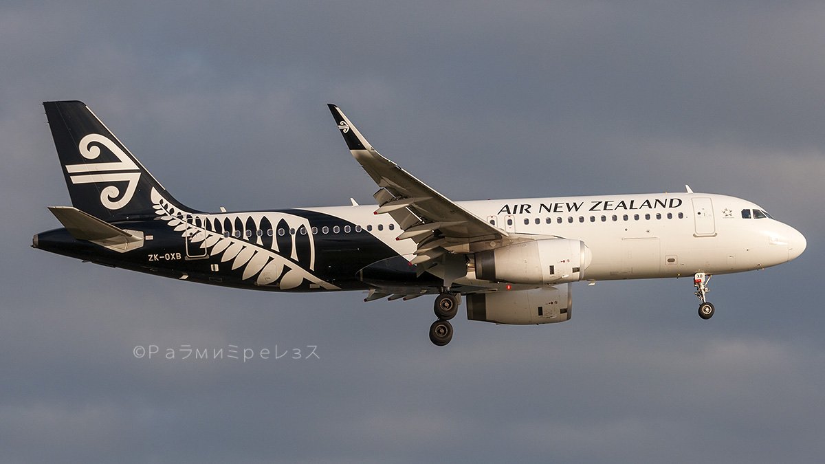 NZ