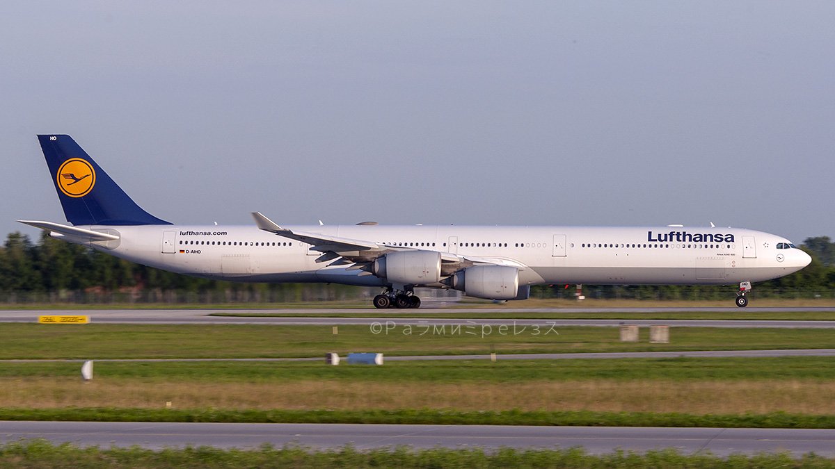 LH