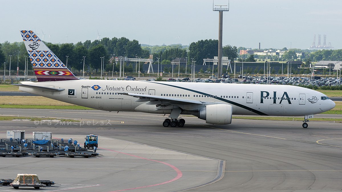 DSC_4951.jpg