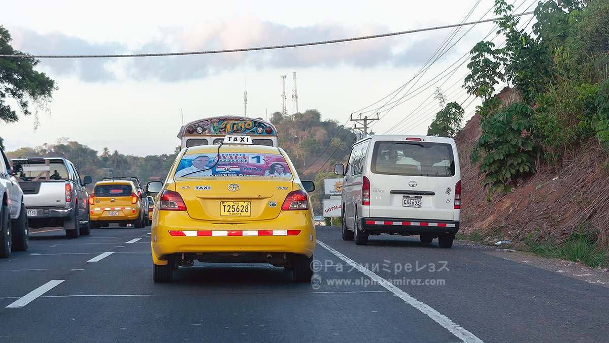 DSC_0567.jpg