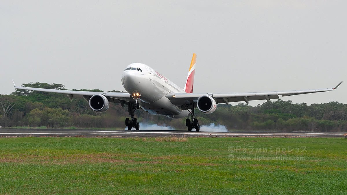 DSC_1337.jpg