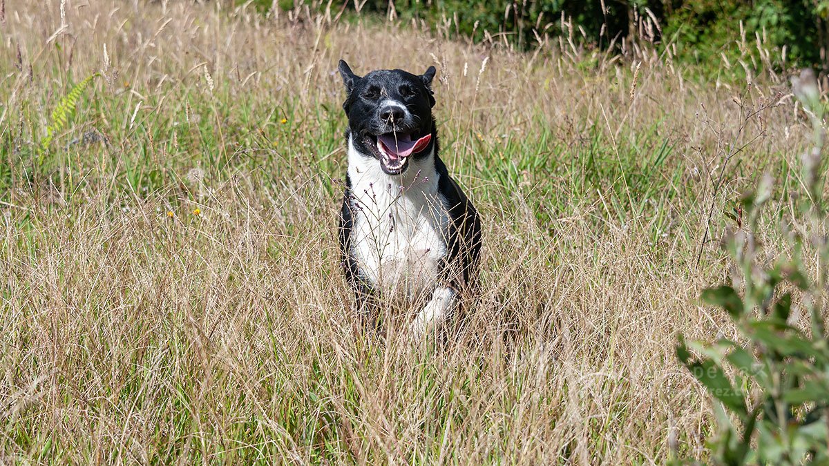 DSC_8433.jpg