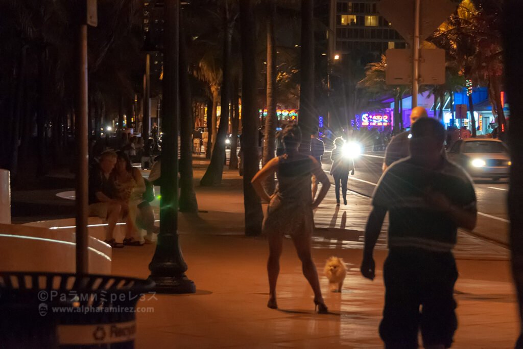 DSC_4152